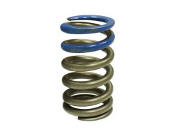 PSYCHIC SPRĘŻYNA ZAWORU SSĄCEGO WYDECHOWEGO KTM SXF350 13-15, HUSQVARNA FE350 14-16