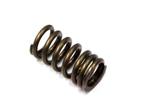 NACHMAN SPRĘŻYNA ZAWORU WYDECHOWEGO KXF 250 04-16 NACHMAN SPRĘŻYNA ZAWORU WYDECHOWEGO KXF 250 04-16