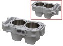 BRONCO CYLINDER POLARIS RANGER 900 XP/CREW, RZR 50/55/60 INCH, 4 900, ACE E