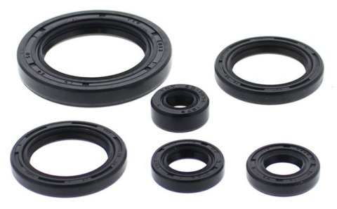 WINDEROSA VERTEX KPL ZESTAW USZCZELNIACZY SILNIKOWYCH HONDA TRX650 RINCON 03- 05, TRX680 06- 21