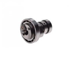 NACHMAN WAŁEK ROZRZĄDU KPL. Z ŁOŻYSKAMI YAMAHA X-MAX/X-CITY 125 06-16 ,YZF