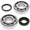 ŁOŻYSKA WAŁU KORBOWEGO WR 250 99- 13, CR