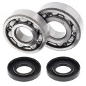 ŁOŻYSKA WAŁU KORBOWEGO KAWASAKI KX125 85
