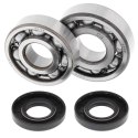 ŁOŻYSKA WAŁU KORBOWEGO KAWASAKI KX125 85