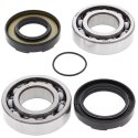 ŁOŻYSKA WAŁU KORBOWEGO YZ 250 76-87, DT 250 75-80