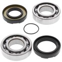 ŁOŻYSKA WAŁU KORBOWEGO YZ 250 76-87, DT 250 75-80