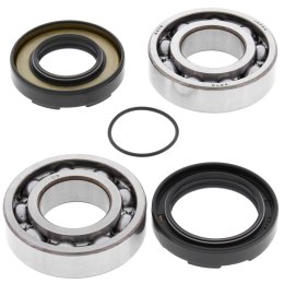 ŁOŻYSKA WAŁU KORBOWEGO YZ 250 76-87, DT 250 75-80