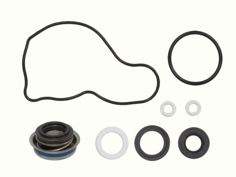 BRONCO ZEST NAPRAW POMPY HONDA TRX 680 06-22