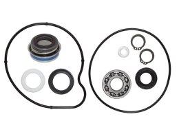 BRONCO ZESTAW POMPY WODY YFM 660R RAPTOR 01-05