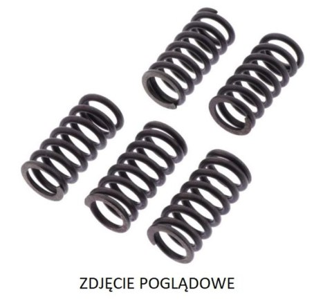 TRW LUCAS ZF SPRĘŻYNY SPRZĘGŁOWE KAWASAKI KLX 450R '07-'18, KX 450F '06-'11