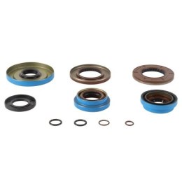 ALL BALLS USZCZELNIACZE DYFERENCJAŁU TYLNEGO RZR XP 1000 INTL 15