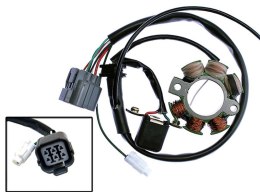 ELECTREX STATOR SUZUKI RMZ250 04-06