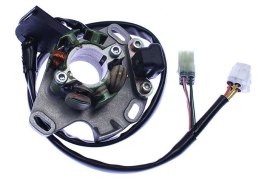 ELECTREX STATOR SUZUKI RM250 98-01