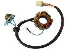 ELECTREX STATOR SUZUKI RMZ250