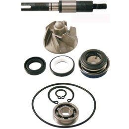RMS ZESTAW POMPY WODY FES 125 150 S-WING 07-11 PANTHEON 03-07 NES 00-06 SH