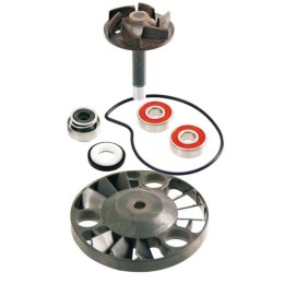RMS ZESTAW NAPRAWCZY POMPY WODY PIAGGIO BEVERLY 125/200 01-05; X8 04; X9 00