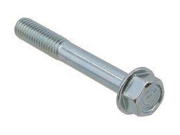 PSYCHIC 2023/08 ŚRUBA KOŁNIERZOWA M8 X 55MM Z OZNACZENIEM (5 SZT.)