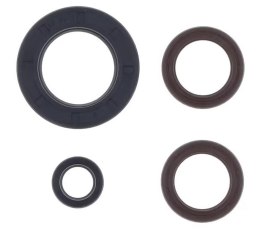 CENTAURO ZESTAW USZCZELNIACZY SILNIKA KTM GS 250 80-81, MX 250 80-81
