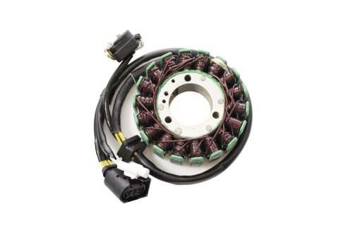ELECTROSPORT UZWOJENIE ALTERNATORA (STATOR) BMW G 310R/GS 16-20