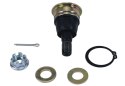 ALL BALLS SWORZEŃ WAHACZA DOLNY PIONEER 1000 16-20, DELUXE 20, LIMITED 17-19,