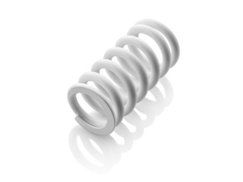 WP SUSPENSION SPRĘŻYNA AMORTYZATORA TYLNEGO CENTRALNEGO KTM EXC EXCF X-PLORE PDS 17-UP 59/61 63-66-69 225 WHITE KOLOR