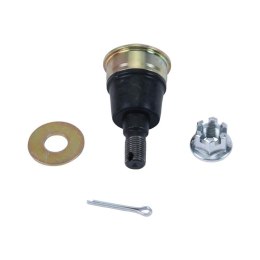 ALL BALLS SWORZEŃ WAHACZA DOLNY HONDA TALON 1000 R 19-24